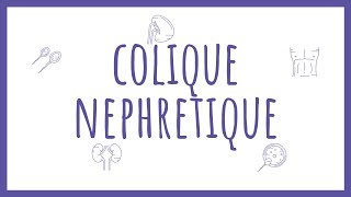 Sémiologie Urologique  La Colique Néphrétique [upl. by Oech]