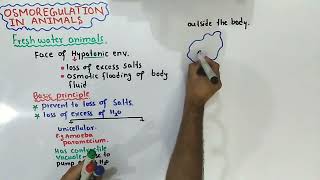 Osmoregulation In Fresh Water Animals Class 12 Biology [upl. by Robby]