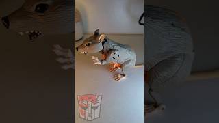 BEAST WARS RATTRAP transformers robots toys kenbotbot shorts [upl. by Garber]