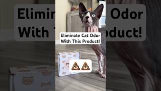 Eliminate Cat Litter Box Odor 💩🤢cat sphynx catbreed cute smelly clean product stinky odor [upl. by Hodess]