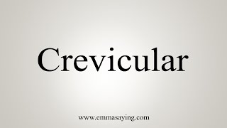 How To Say Crevicular [upl. by Sanalda]