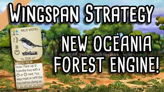 Wingspan Oceania Strategy  How to build a strong forest engine [upl. by Elset]