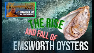 The rise and dramatic fall of Emsworth Oysters [upl. by Pritchard]