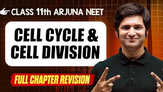 Cell Cycle amp Division  COMPLETE Chapter in 1 Video  Quick Revision  Class 11th Arjuna NEET [upl. by Allenotna]