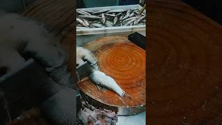 Fish cutting video  fishlover fishcutting fish shorts shortvideo shortviral subscribe [upl. by Treblih]