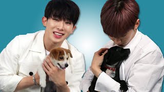 Monsta X Plays With Puppies While Answering Fan Questions [upl. by Mirella]