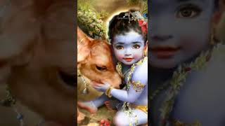 krishna Ji ki Leela 🕉️🕉️🕉️ ji shree Krishna 🔥trending video [upl. by Leahciam879]