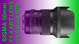 Sigma 50mm f14 HSM lens review with samples [upl. by Eneja862]