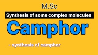 Camphor  Synthesis of camphor  synthesis of some complex molecules  MSc [upl. by Leibman]