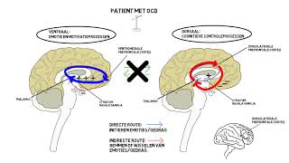 Etiopathogenese angst en OCD [upl. by Katuscha890]