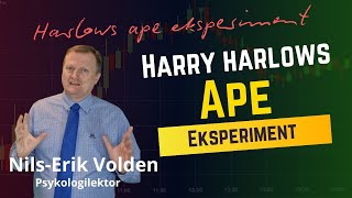 Harlows ape eksperiment [upl. by Imaon272]