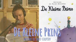 DE KLEINE PRINS  Widening Circles Audioboeken [upl. by Peg]