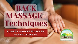 BACK MASSAGE Techniques  Lumbar Square Muscles Sacral Bone P1 [upl. by Eimrej555]