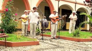 SON ANTILLANO  AMOROSA GUAJIRA  MÚSICA TRADICIONAL CUBANA [upl. by Nasia]