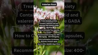 Valerian Root for Sleep and Anxiety herbal herbalmedicine [upl. by Lennej737]