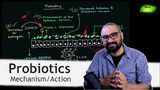 How Probiotics work  Benefits of Probiotics  Gut Microbes  Basic Science Series [upl. by Ylatfen]