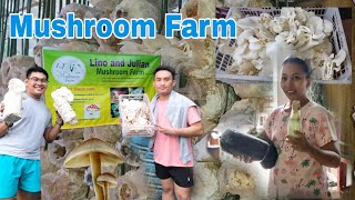 Mushroom Farming  Step by Step Process  Harvesting mushroom mushroomfarming [upl. by Theodosia]