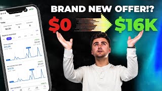 How I Made 16K in 3 Weeks On a Brand New Offer [upl. by Niletac]