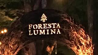 Foresta Lumina Coaticook [upl. by Laemsi]