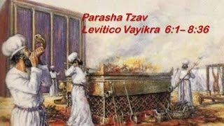 25  Torah Parsha Tzav give command [upl. by Seavir]