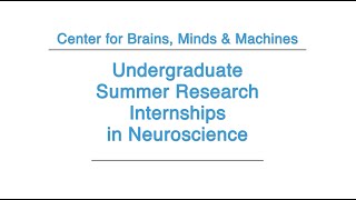 Undergraduate Summer Research Internships in Neuroscience [upl. by Drucilla178]