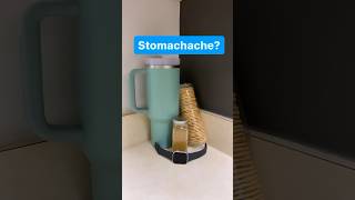 Easy home remedies for stomachaches [upl. by Meri]