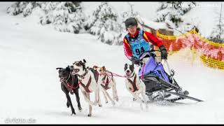 Schlittenhunderennen Frauenwald 1718022018 Deutsche Meisterschaft Sprint [upl. by Akoek]