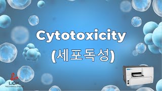 LCK Cytotoxicity 세포독성 MTT assay [upl. by Domella377]