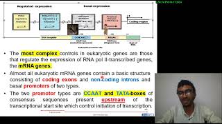 21 Cell biology  Control of Gene expression in Eukaryotes شرح بالعربي [upl. by Dilly]