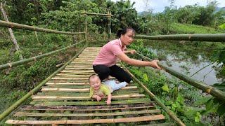 60 completed bamboo bridge amp Lychee Harvest  Ly Tieu My [upl. by Eidod]