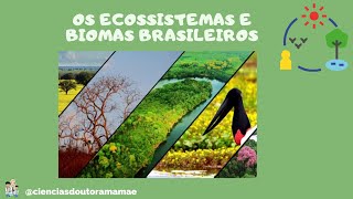 Ecossistemas e Biomas Brasileiros Ensino Fundamental [upl. by Cioffred586]