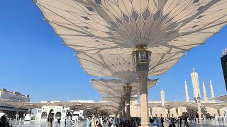 Jom rebut saf di Masjid Nabawi 🏃🏽‍♂️ [upl. by Huberman915]