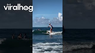 Dog Goes Surfing With Surf Instructor  ViralHog [upl. by Atirres]