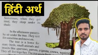 quotThe Banyan Treequot in Hindi  Class 6 English Lesson 1  The Banyan Treequot Hindi Explanation [upl. by Ladnik]