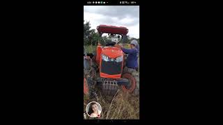 Tractor Cultivating Farm Preparing For Tobacco Plants ASMR Living In The Philippines farming love [upl. by Esilenna669]