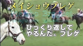 メイショウブレゲ〜ひっくり返す 毎日ゴルシ号外 京都大賞典 競馬 ゴールドシップ オルフェーヴル ディープボンド [upl. by Eelymmij]