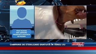 Campanie de sterilizare gratuită în Târgu Jiu [upl. by Golden28]