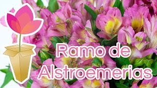 Cómo hacer un ramo de alstroemeria [upl. by Auoz]