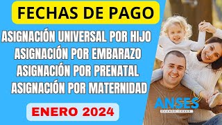 📆 FECHAS de COBRO de la AUHAUE ASIGNACIÓN POR PRENATAL y TARJETA ALIMENTAR en Enero 2024 💲 [upl. by Soelch]