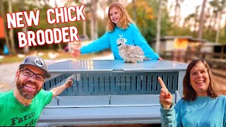 This Just Made Her amp The Entire Family SUPER Happy New Chick Brooder [upl. by Aihseyn598]