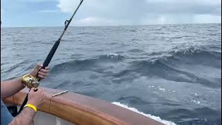 Marlin Magic  44 Sailfish amp 21 Blue Marlin CNSJ Light Tackle Tournament 2024 [upl. by Nanda]