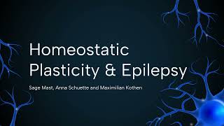 What Role does Homeostatic Plasticity have in Epilepsy  A Computational Approach to EI Balance [upl. by Notyap]