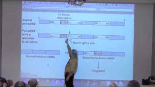 Protein Synthesis I [upl. by Bahr]