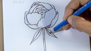 How to draw a flower step by step easy  Pencil Drawing [upl. by Osswald]