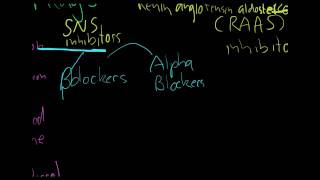 hypertension  Treatment part 1  drugsmp4 [upl. by Atnek]