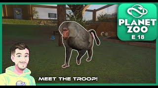 ZOOKEEPERS ANIMAL PACK  FILLING UP THE ZOO  PLANET ZOO Gameplay  Episode 18  Full Franchise [upl. by Imojean]