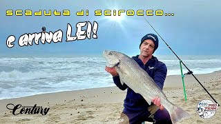 Super OMBRINA con mare in scaduta di sciroccola magia del SURFCASTING [upl. by Mihalco]