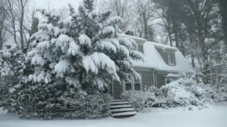 Winter Cabin in a Snowstorm  Falling Snow amp Heavy Winds Blowing  Natural White Noise for Sleep [upl. by Anik394]