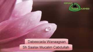 Sh Saalax Mucalim  Dabeecada Wanaagsan [upl. by Bolger]