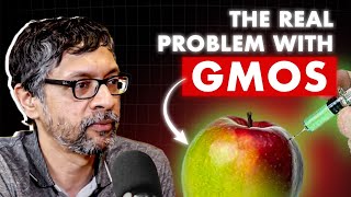 Are GMOs Good or Bad Genetically Modified Organism Explained by Krish Ashok Masala Lab [upl. by Becket24]